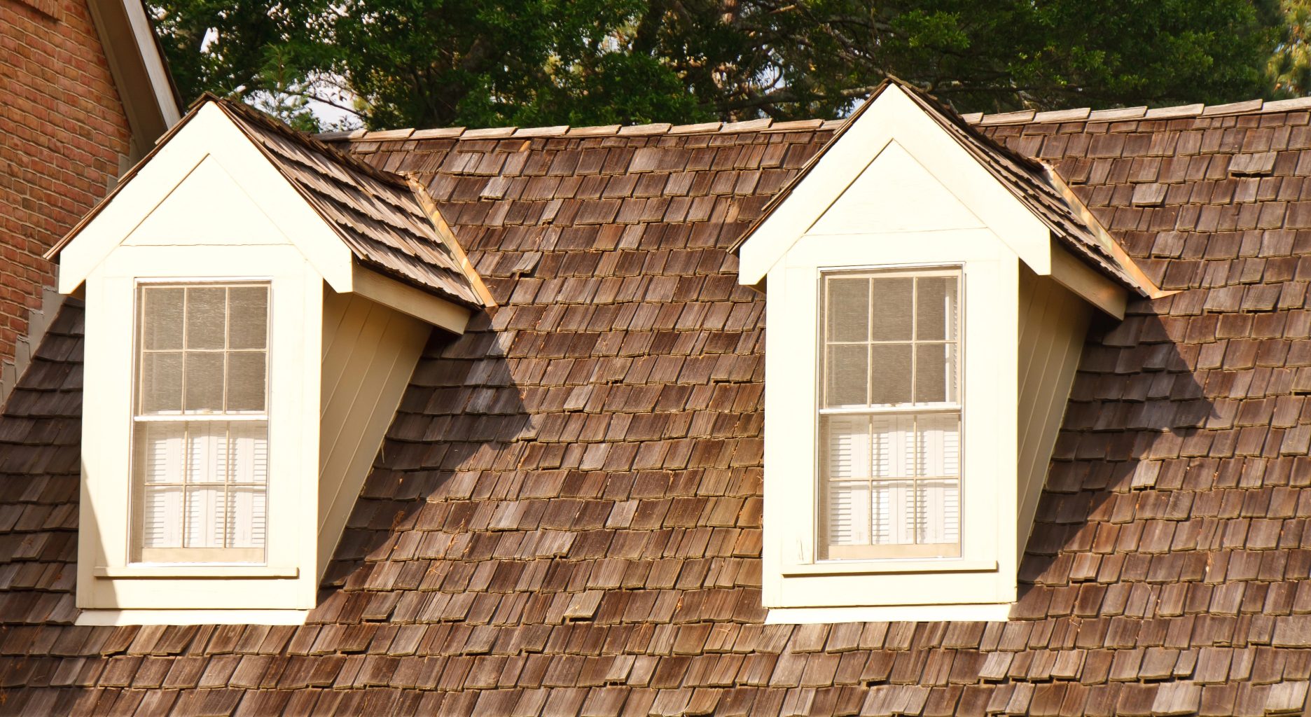 Two white dormer windows with grids are set into a brown wooden shingle roof, with trees visible in the background and sunlight casting shadows on the surfaces.