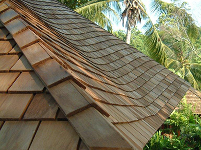 A close-up of a wooden shingle roof with wavy, undulating lines. Palm trees and lush greenery are visible in the background, suggesting a tropical location.