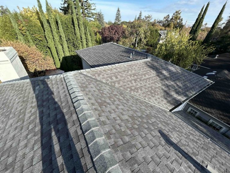 View from a rooftop showing gray asphalt shingles and multiple rooflines; tall evergreen trees and autumn-colored bushes surround the houses in a suburban neighborhood under a partly cloudy sky.